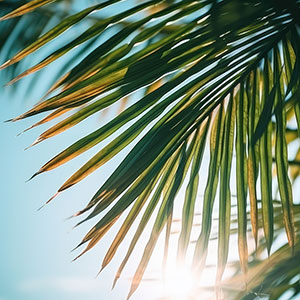 デジタルサイネージ